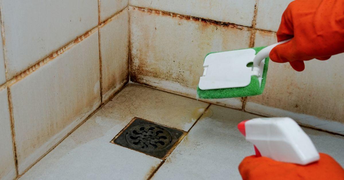 Bond Cleaning Sydney: What to Look for Before Booking an End of Lease Clean